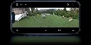 imgi_229_040109071704330547.2667.jpg.webp