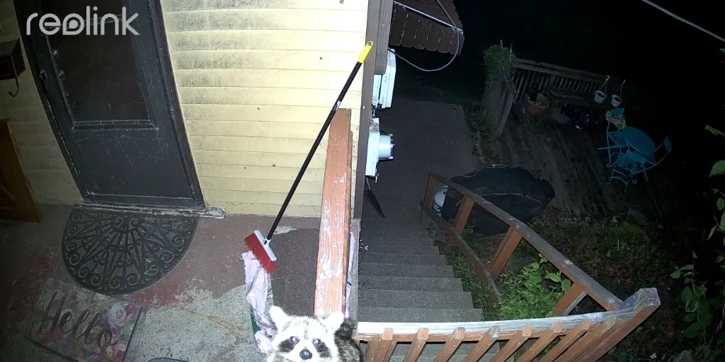 imgi_55_180705401705561540.503.webp
